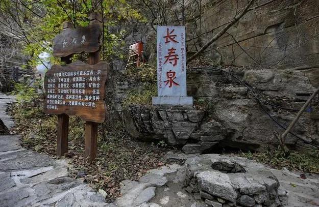 四不两立长恨丽打一正确生肖,警惕虚假宣传落实,前沿解答解释落实