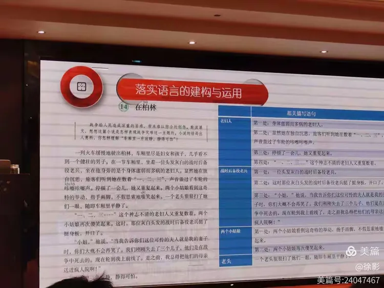 四不两立长恨丽打一正确生肖请全面2释义、解释与落实、前沿解答解释落实