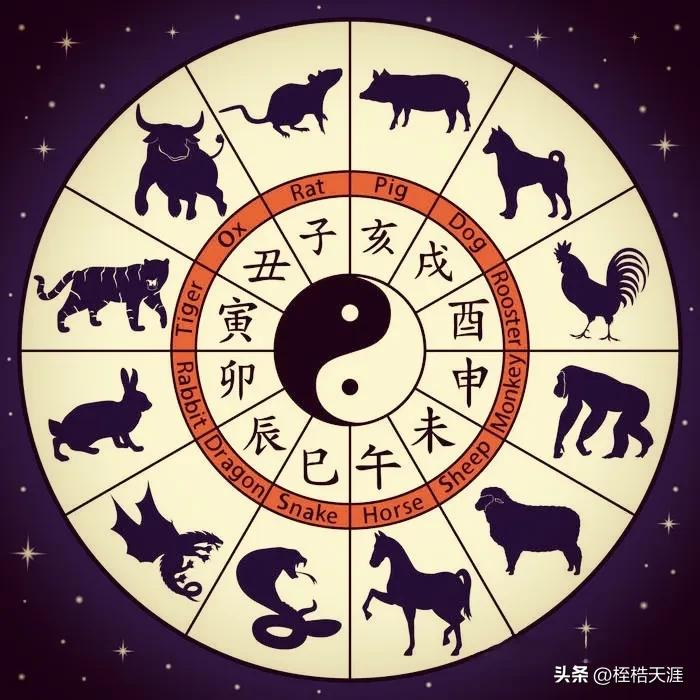 阴阳之变打一动物生肖全面释义、构建解答解释落实