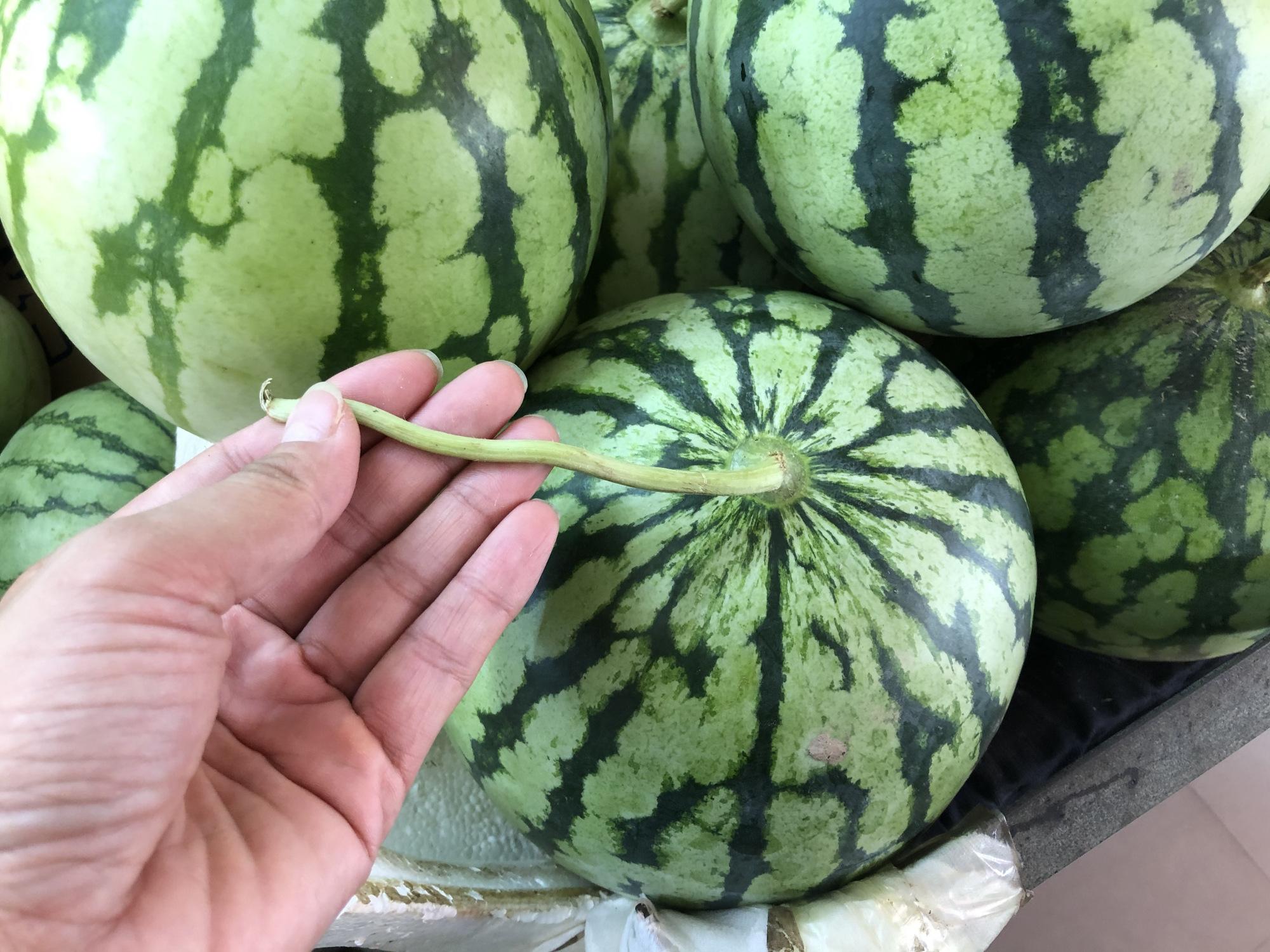 指出冬瓜画出葫芦乱点一通真糊涂打一生肖的全面释义、解释与落实、实时解答解释落实