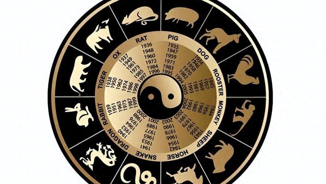 阴阳之变打一动物生肖全面释义、构建解答解释落实